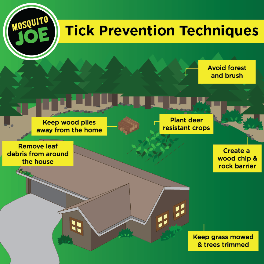 Infographic of house in the woods with yellow blocks with tips on tick prevention